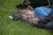 Little girl camping with sleeping bag