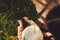 A little girl carefully considering the bush with leaves on sunny autumn day