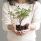 Little girl carefully holds small green tree in her hands, on white background, concept of nature conservation,