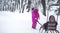 Little girl carries a sled in the Park, an independent child