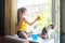 A little girl with a cat on the windowsill washes the windows. Focus on the British cat