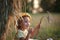 A little girl of Caucasian appearance with light hair in a field with stacks and ears of wheat.