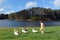 Little girl chasing wild duck