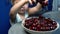 Little girl child holding sweet cherries in hands and throws it to bowl