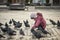 Little girl in a city square feeding pigeons