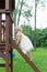 Little girl climbing swingset ladder in a dress