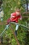 Little girl climbs and smiles on playground