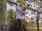 Little girl climbs tree with sign saying please do not climb