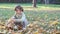 Little girl collecting autumn leaves