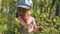 Little girl collecting and eating ripe blueberries from bush in forest.