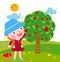 A little girl collects apples in sunny day