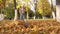 A little girl collects in a pile, fallen from the trees, the leaves.