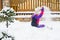 Little girl in colorful suit play in snow in back yard in cold w