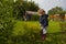 A little girl in the countryside pruning by secateurs yellow Physocarpus  Bush in the garden