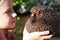 Little girl with cute European hedgehog