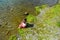 Little girl dipping her feet in a mountain creek