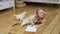 Little Girl Drawing on a Floor near Funny Puppies