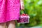 Little girl in dress child hand holdind small basket of ripe raspberries. Close-up