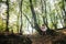 Little girl in a dress with doll sits on a tree in the forest