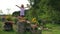 Little girl in dress jump of tree stump between flowers in garden