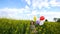 Little girl in a dress running through yellow wheat field with balloons in hand. slow motions