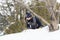 Little girl dressed in winter clothes smiling while preparing to slide down a snowy slope