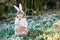 Little girl with Easter bunny ears making egg hunt in spring forest on sunny day, outdoors. Cute happy child with lots