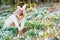 Little girl with Easter bunny ears making egg hunt in spring forest on sunny day, outdoors. Cute happy child with lots