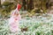 Little girl with Easter bunny ears making egg hunt in spring forest on sunny day, outdoors. Cute happy child with lots