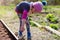 Little girl enjoy gardening in urban community garden