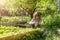 Little girl enjoy gardening in urban community garden