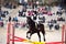 Little girl equestrian horse jumping