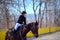 Little girl equestrian rider