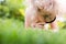 Little girl exploring nature