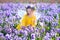 Little girl in fairy costume playing in flower field