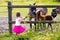 Little girl feeding baby horse on ranch