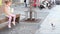 Little girl feeding pigeons