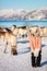 Little girl feeding reindeer