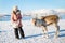 Little girl feeding reindeer