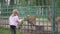 A little girl feeds a deer through a cage in a contact zoo in the summer