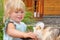 Little girl feeds Guinea pig in courtyard