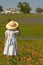 Little girl in field of flowers with house