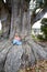 Little girl and the Giant. Base Roots Giant Sequoia Tree. Nelson , New Zealand