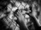 Little girl hand holding on chain link fence for freedom, Human