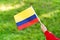 Little girl hands hold Venezuela flag