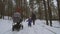 Little girl having fun together with mother and grandmother on winter day