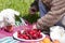 Little girl having a picnic on a green lawn. Purple blanket with plates of berries, white cup and toy sheep