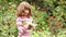 Little girl hold two kittens