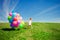 Little girl holding colorful balloons. Child playing on a green