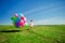 Little girl holding colorful balloons. Child playing on a green